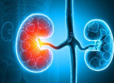 Nguy&ecirc;n nh&acirc;n v&agrave; triệu chứng mất nước ở người cao tuổi cần lưu &yacute;