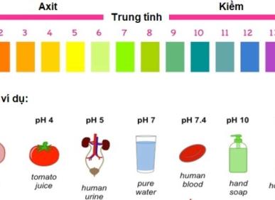 Hướng dẫn c&aacute;ch kiểm tra nguồn nước đơn giản hiệu quả để đảm bảo sức khỏe gia đ&igrave;nh