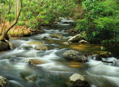 Nước suối c&oacute; tốt kh&ocirc;ng? N&ecirc;n uống nước suối hay nước tinh khiết?