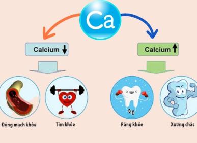 Canxi v&agrave; tầm quan trọng với hệ xương