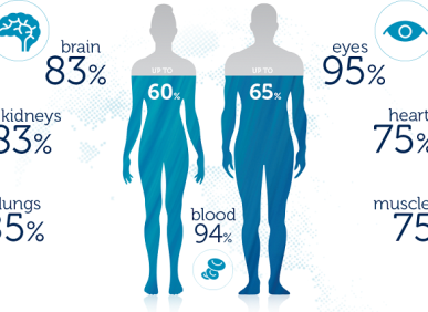 Vai tr&ograve; của nước đối với cơ thể