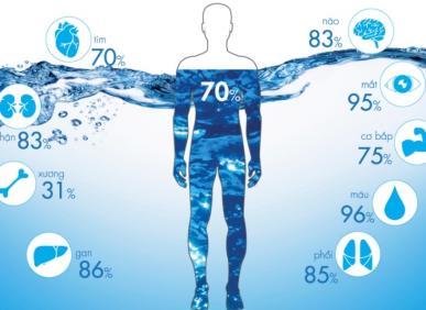 Cơ thể nguy hại thế n&agrave;o khi ngừng uống nước